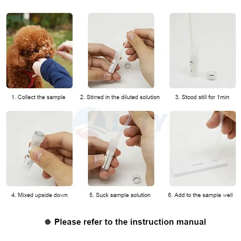 Veterinary lab quick detect Rabies Ag Rapid Test Kit Fcv Gia Fpv Test Dog Giardia Rapid Test Fcv for pet cat and dog