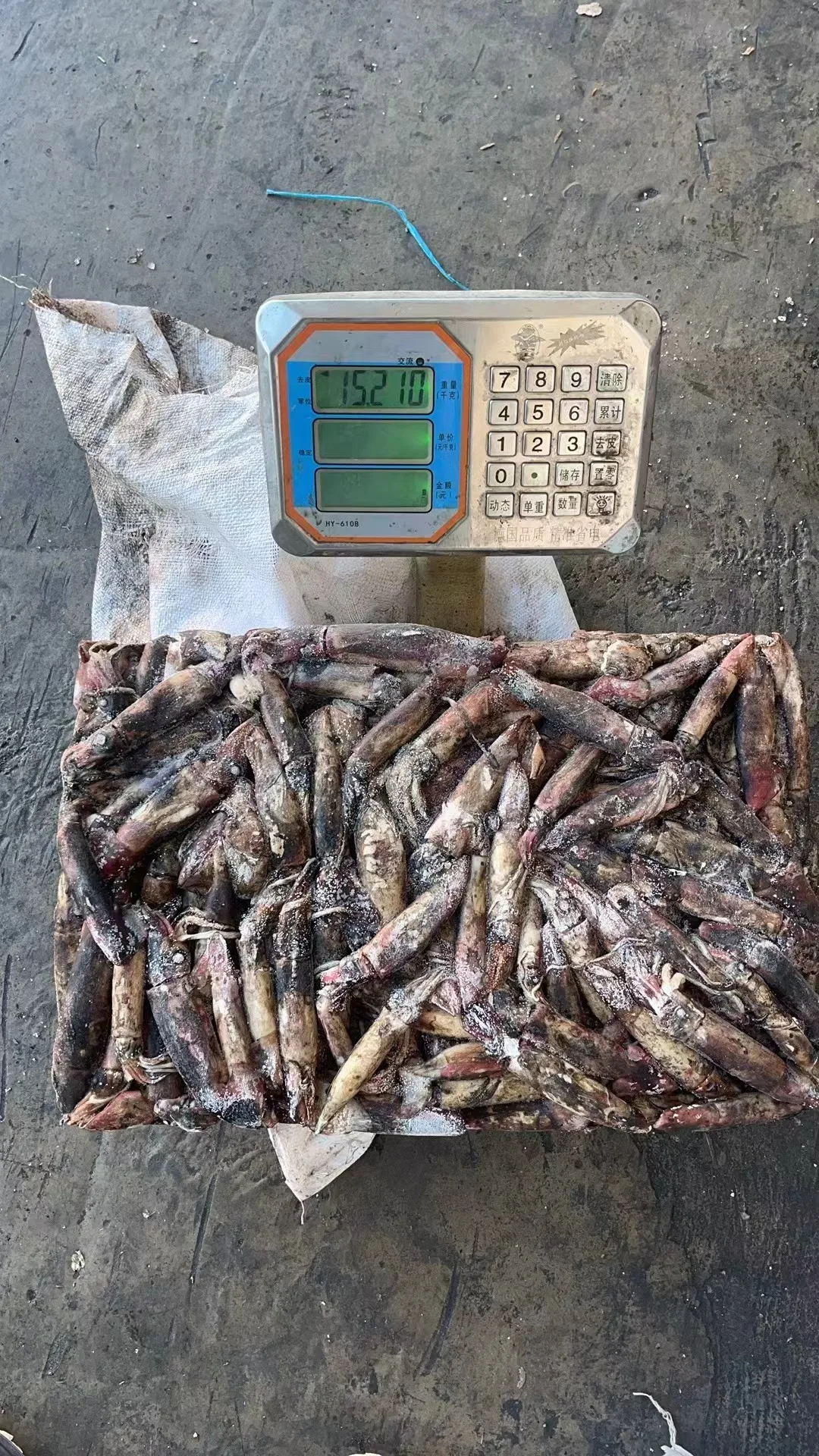 Wholesale Dried Rod Yo-zuri Yamashita Calamari Kalamar Fish Frozen Fishing Lures Bait Black Squid