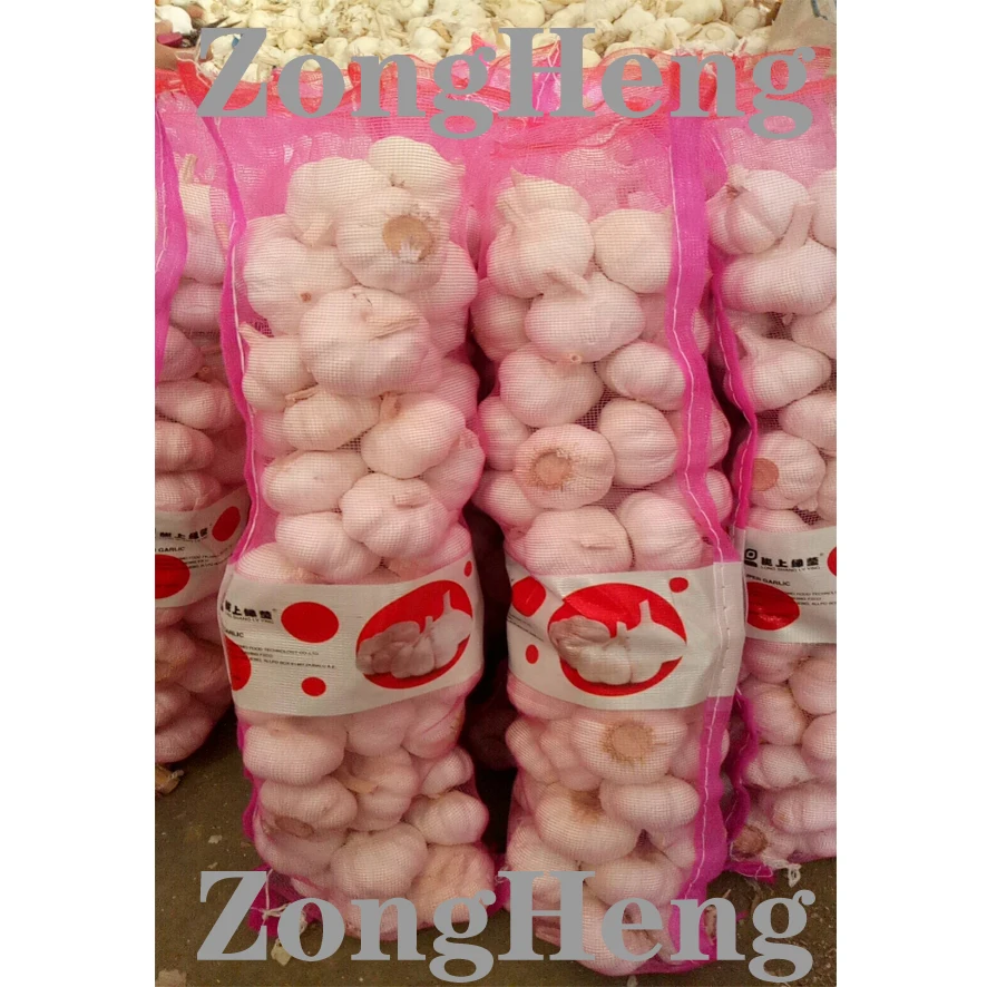
2020 wholesale cheapest price china garlic 
