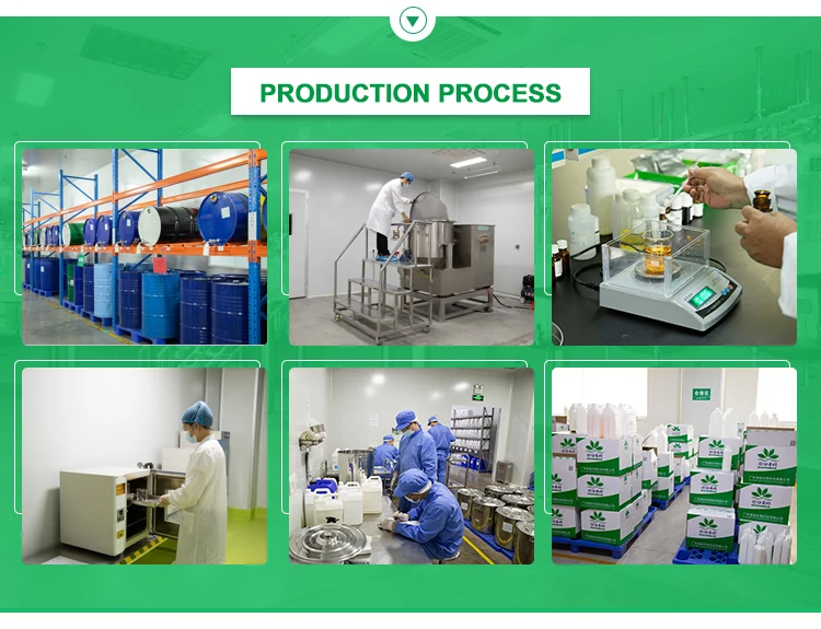 Flavor Research And Development Support Customization Of Multiple Flavors Flavor & Fragrance