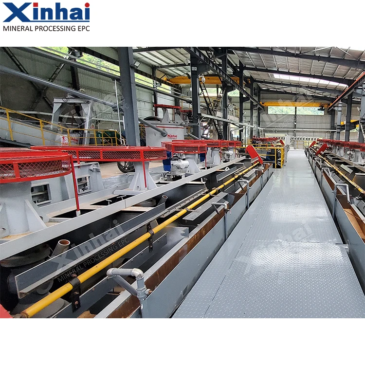 300td Automatic Control Spodumene Froth Flotation Machine Lithium Ore Extraction Processing Plant