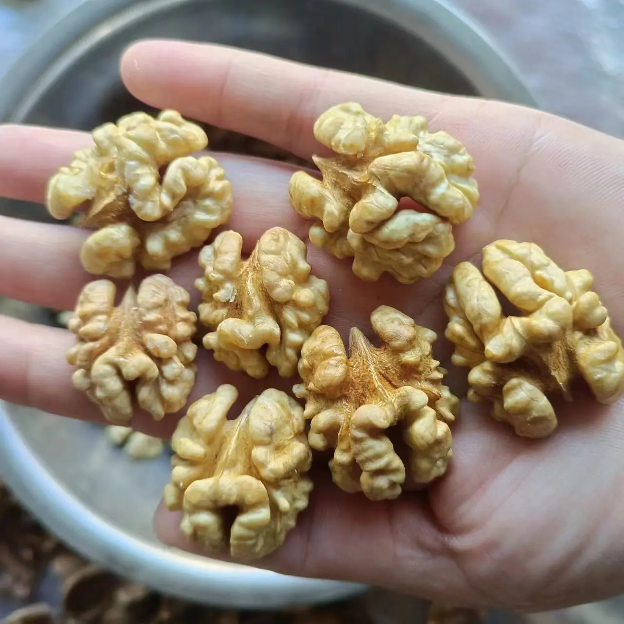 Оптовая продажа высокое качество 185 орехов ELH 2022 новый урожай