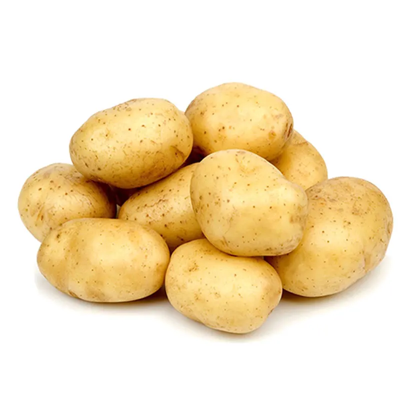 Organic Export Quality Fresh Potato Supplier Yellow Potato Of China