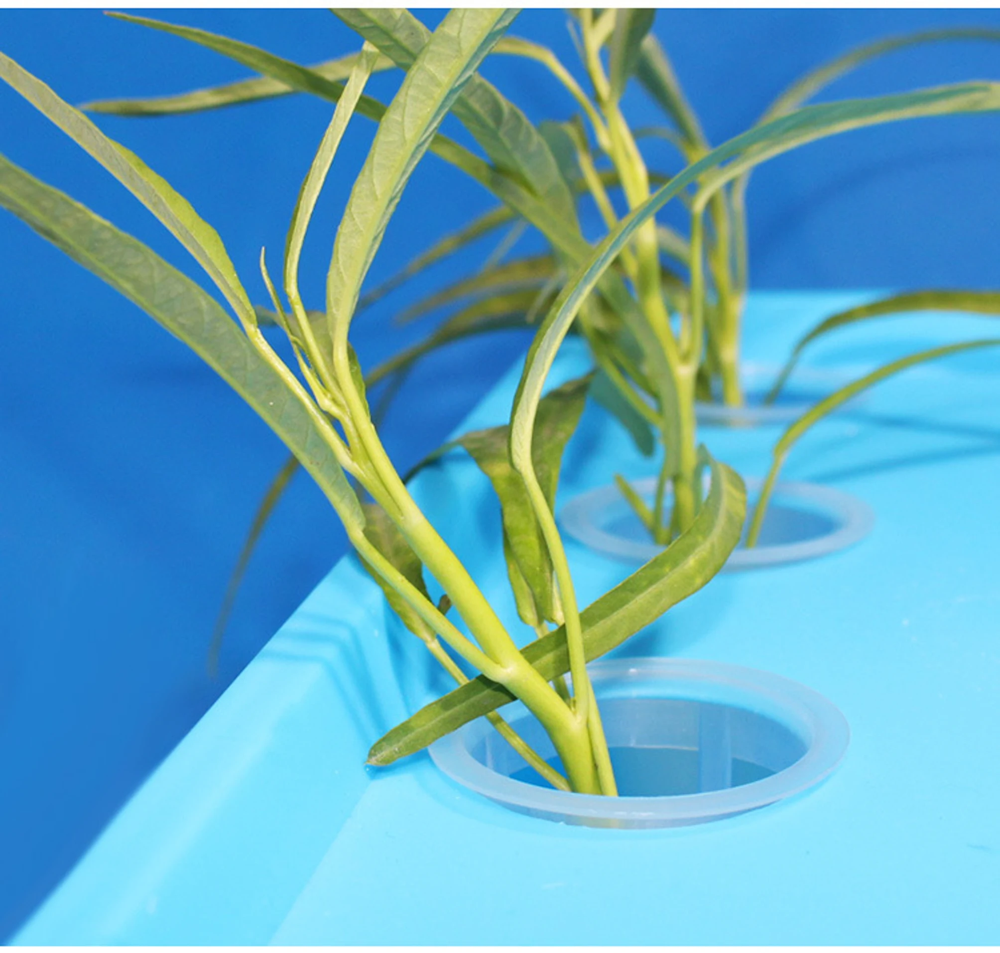 wholesale hydroponic system growing plants mess net pot