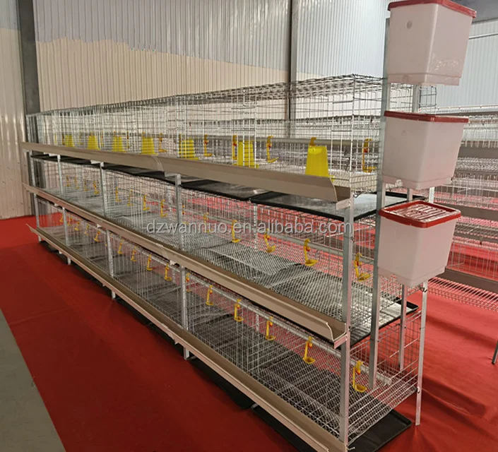 Poultry Farming Equipment Automatic Drinking Battery H Type Broiler Chicken Breeding Cage Motor New Product 2020 Provided 10sets