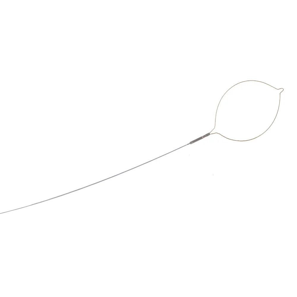 
disposable hot Polypectomy snare,Snare endoscope 