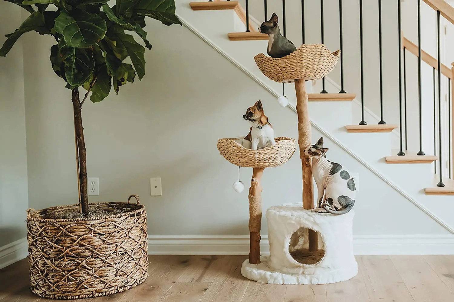 Modern Cat Tree Tower for Large Cats, Real Branch Luxury Wood Cat Tower Scratching Tree, Cat Lover Gift