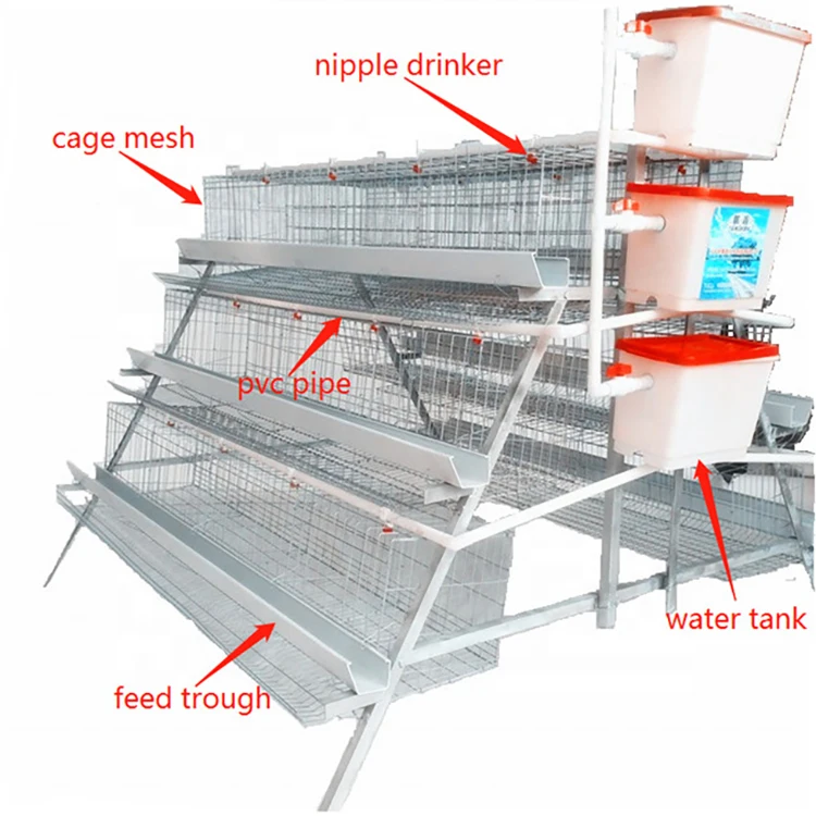 Automatic Poultry Farming Cheap Layer Chicken Cage System For Chicken Coop (1600499293557)