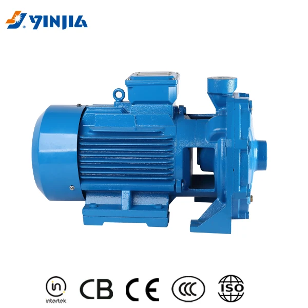 Economical High-Pressure Double Impellers Electric Water Pump Garden Irrigation Motor Power Supply Stainless Steel Iron