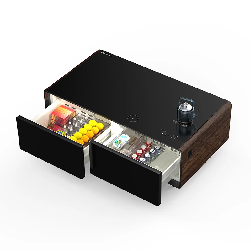 Primst Modern Smart Refrigerator Mini Bar Table Coffee Table Fridge with Music Player Furniture Living Room