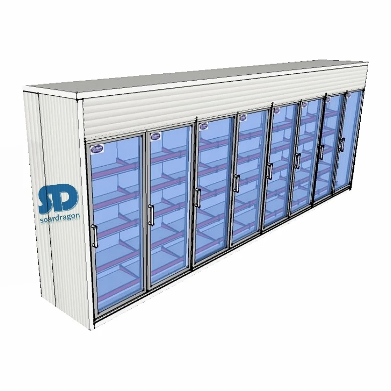 Soardragon glass door freezer storage cold room for frozen food with shelves / walk-in cooler