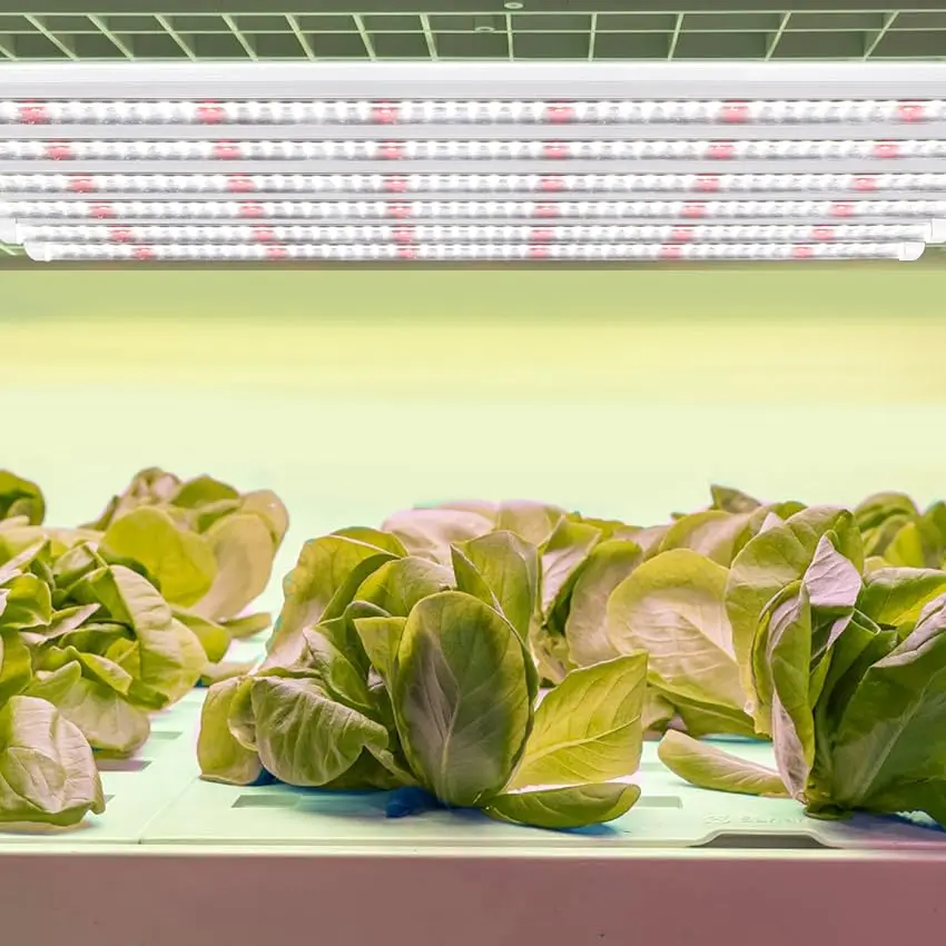 2024 T8 LED Grow Light Tube 3ft 13W AC85-265V Full Spectrum R W 2:4 9pcs for Green Leafy Vegs Greenhouse