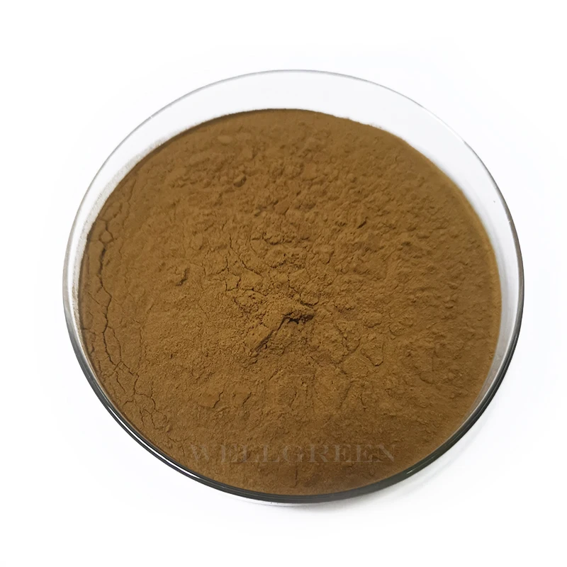 
100% Natural Ivy Leaf Extract Powder Bulk 10% Hederacoside C Ivy Leaf p.e. 