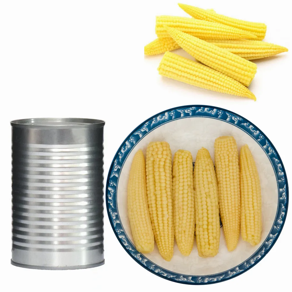 Water preservation young corn baby corn in cans with label