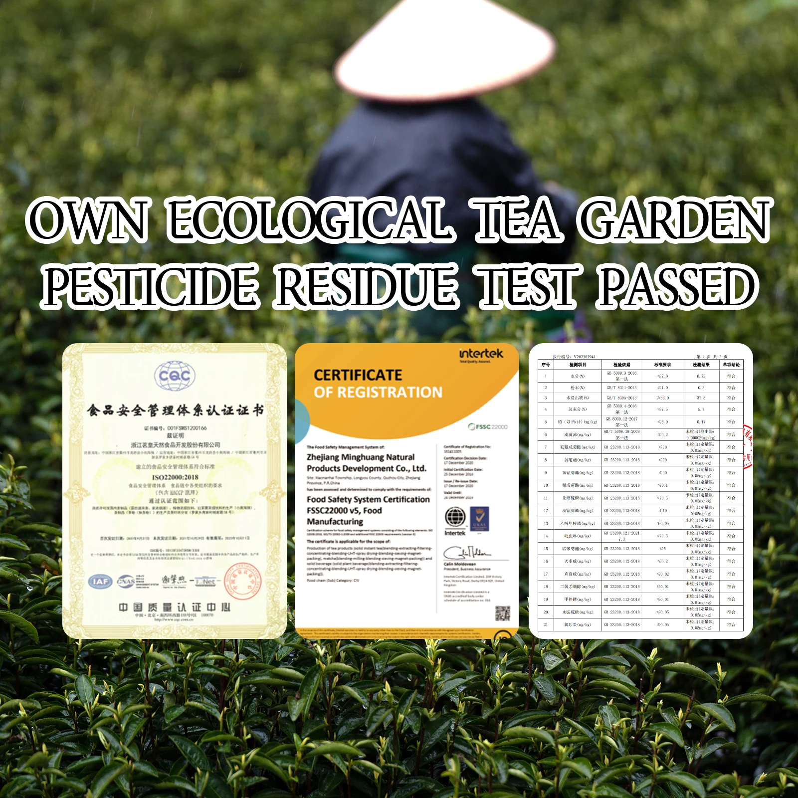 Wholesale High Quality Canned/Tinned Green Loose Tea