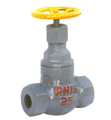 2024 API 6D Class 300 Carbon Steel Globe Valve