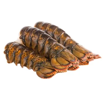 Frozen Lobsters Tails for Sale