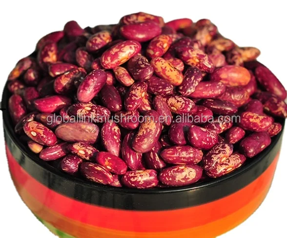 New Crop Red Speckled Kidney Beans