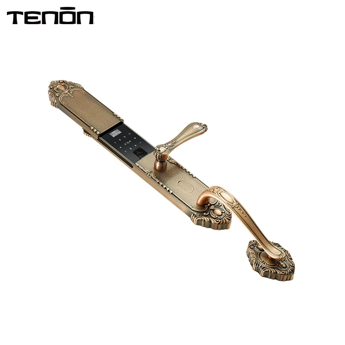 Нержавеющая сталь дверной БЕСКЛЮЧЕВОЙ Bluetooth биометрический отпечаток пальца цифровой умный