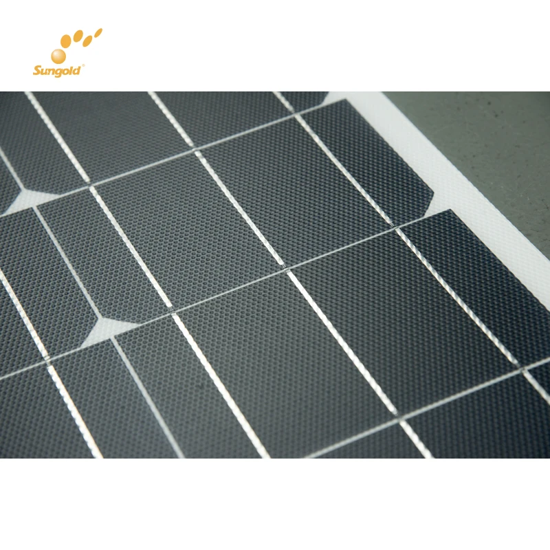 Sungold panneau solaire фотоэлектрический 12В 100