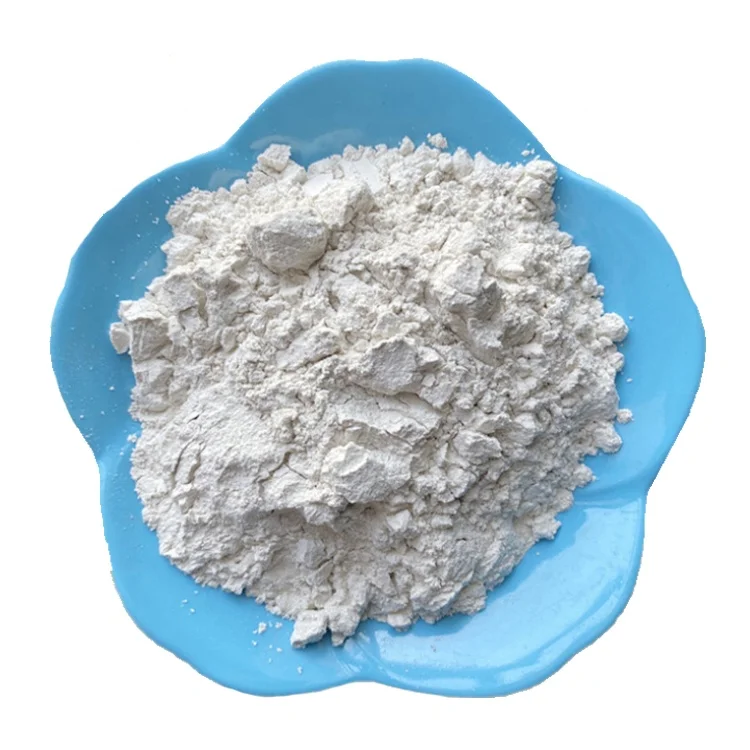 White Powder Diatomite Diatomaceous Earth for Food