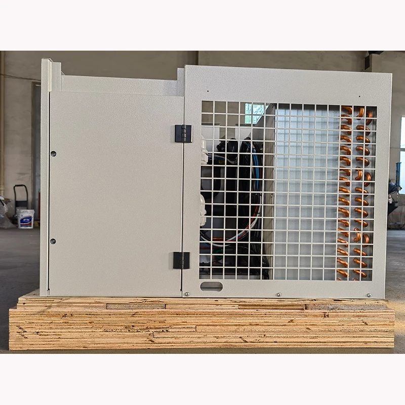 condensing unit for cold room roof mounted DC inverter monoblock pv module