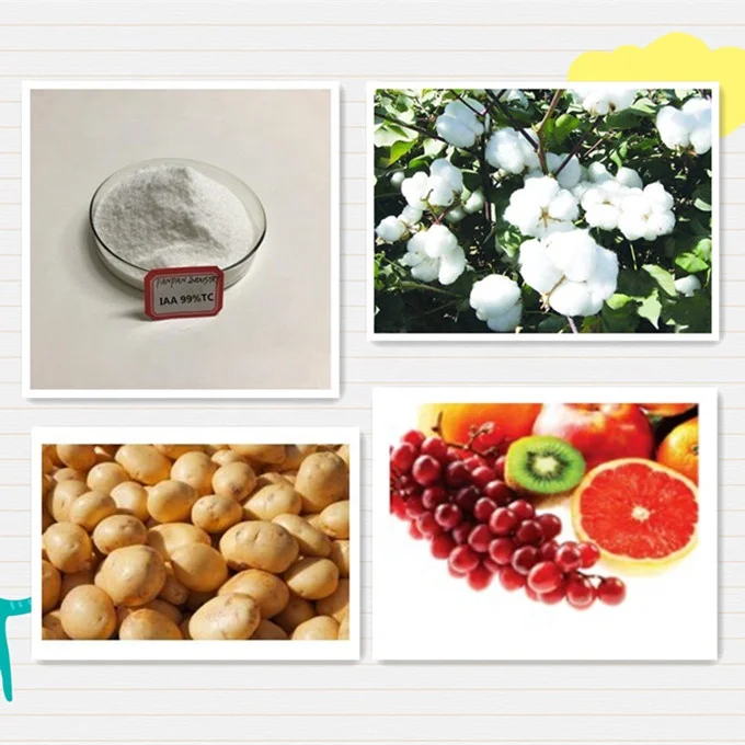 
Indole 3 Acetic Acid, Sale Indole Acetic Acid IAA Auxin Hormone Powder Price 