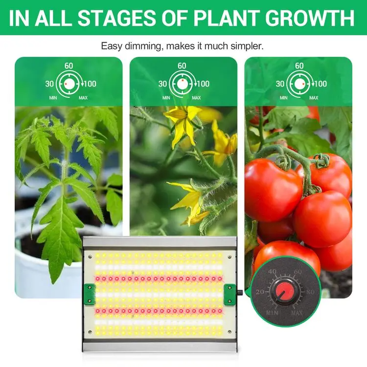 LED Grow Light Hydroponic Greenhouse 240W Full Spectrum LED Grow Light For Indoor Medical Plants