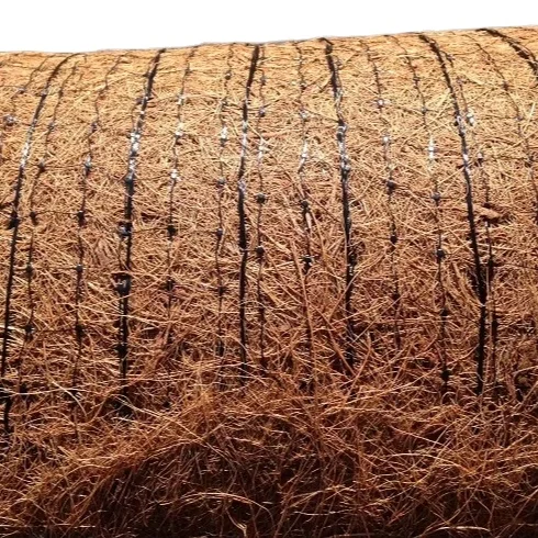 Wall Reinforcement Coconut Fiber Ground Protection Road Matting Rolls Coir Erosion Control Blankets