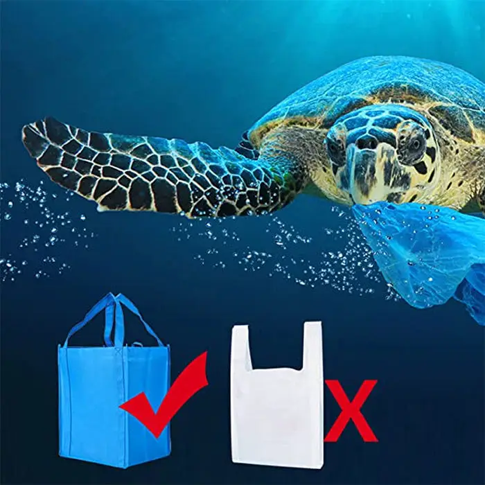 Cheap Eco Friendly Manufacturer 20kg Laminated Reusable PP Non Woven Bag