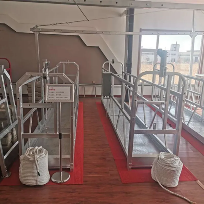 Zlp 630 Temporary High Rise Work Platforms Swing Stage Suspended Platform for Construction 3D Model Design Solution