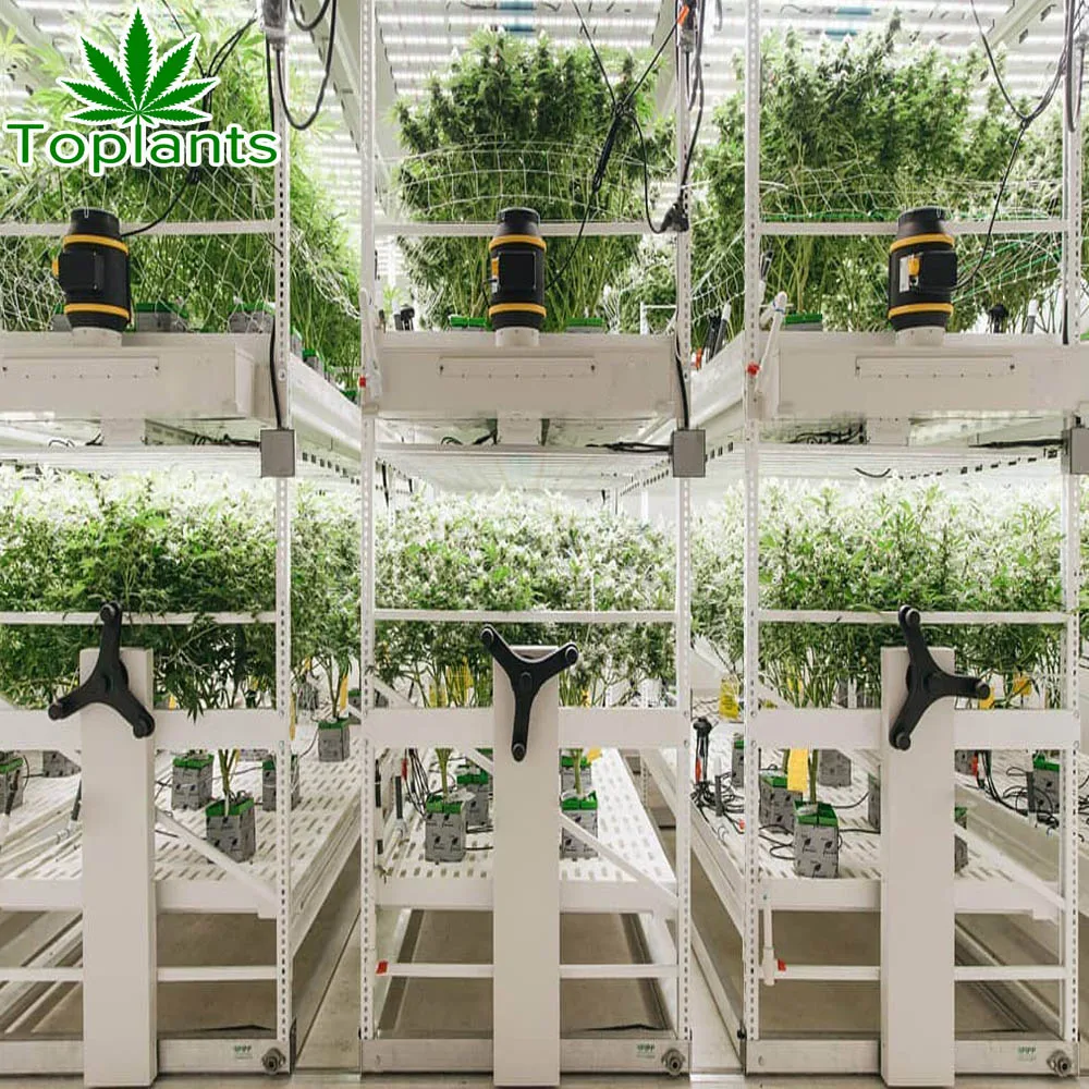 Double Layer Mobile Rolling Racks Vertical Growing Shelf