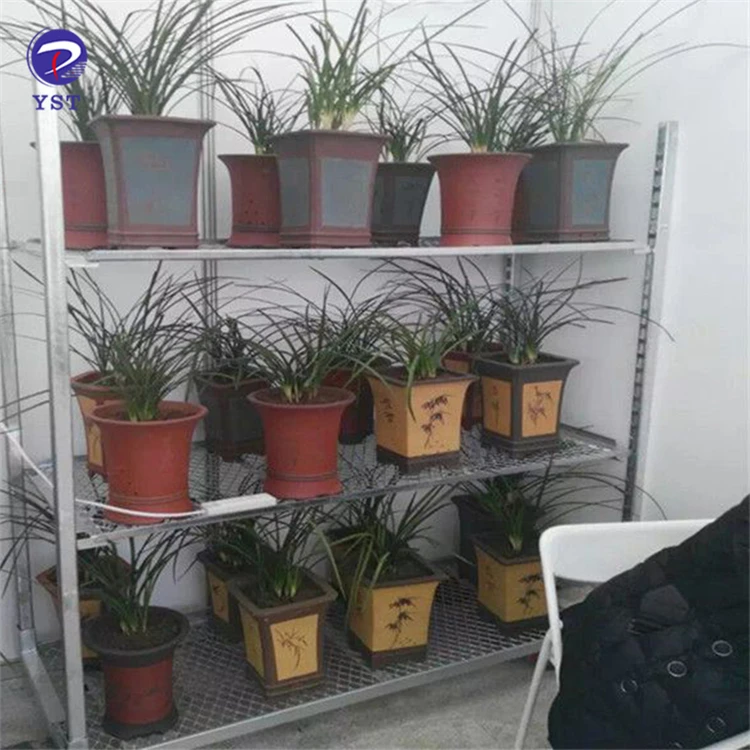 Metal Transport Wire Racks For Mushroom And Microgreens Production