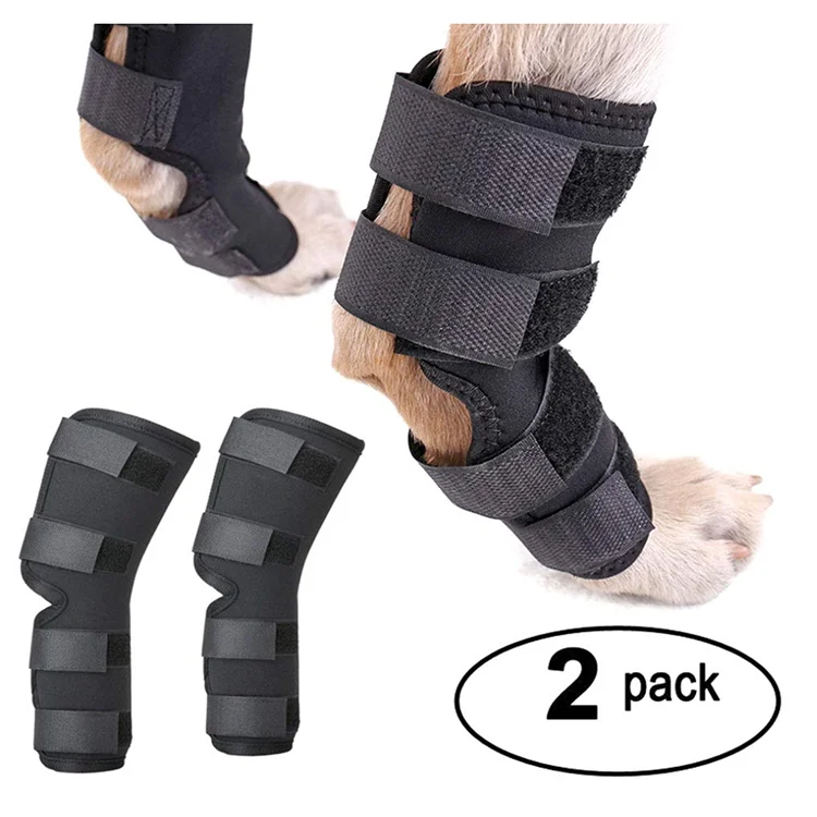 Hot Selling Recovery Protector Sleeve Dog Knee Brace Neoprene Leg for