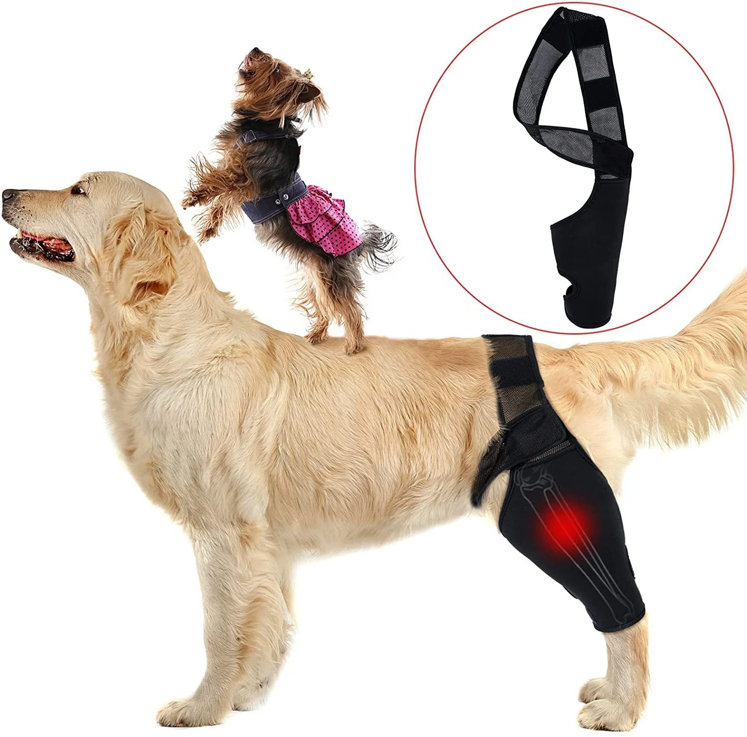 dog elbow brace protector pads keeps joint warm extra support reduces pain Inflammation dog leg protector dog knee brace