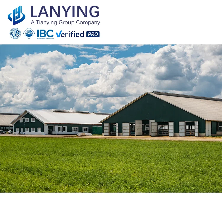 steel structure Poultry chicken farm/Environmental low cost prefabricated