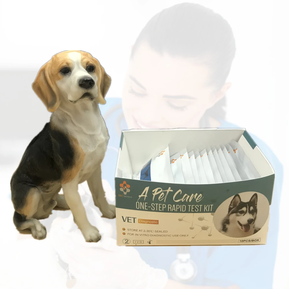 BCL Brucella Ab brucellosis pet 8 medical hospital supplies DOG/CAT disease test