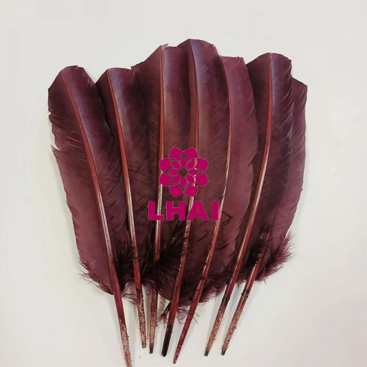 Wholesale 25-30 cm 10-12 Inch Multicolour Turkey Quills Feathers For DIY Craft Decor Costumes Accessories