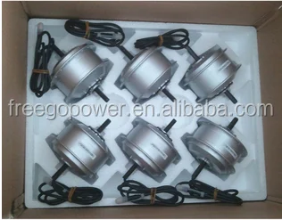 Stock Rear Motor 36v 250w Waterproof Electric Wheel Dc Hub