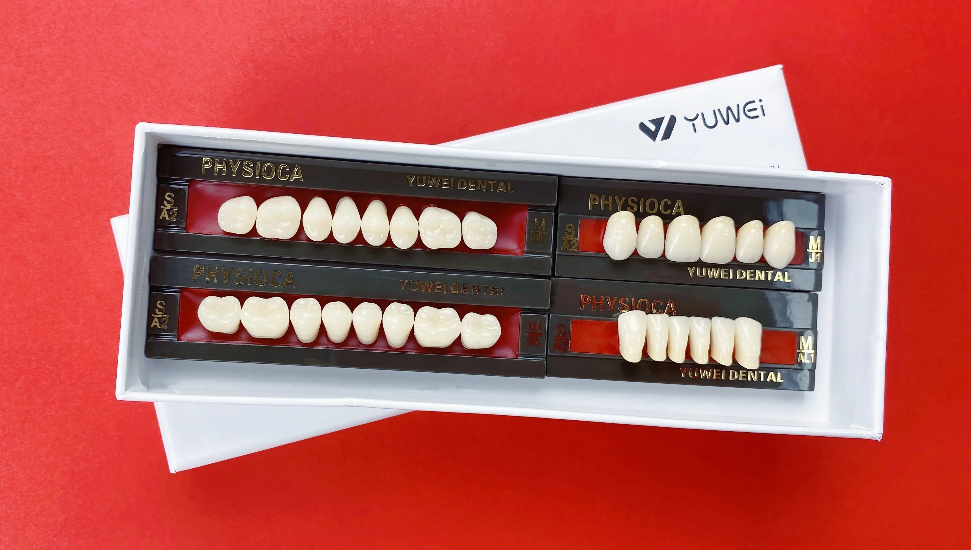 Cheaper Price Dental Synthetic Teeth for Dental Lab