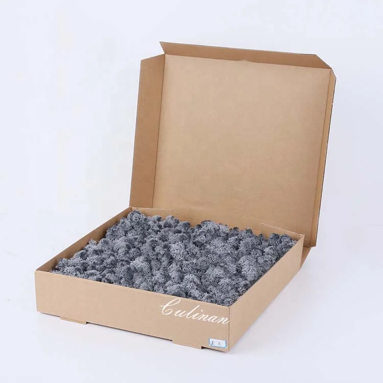 musgo estabilizado lichen moss Preserved Moss Panel Preserved for Decoration