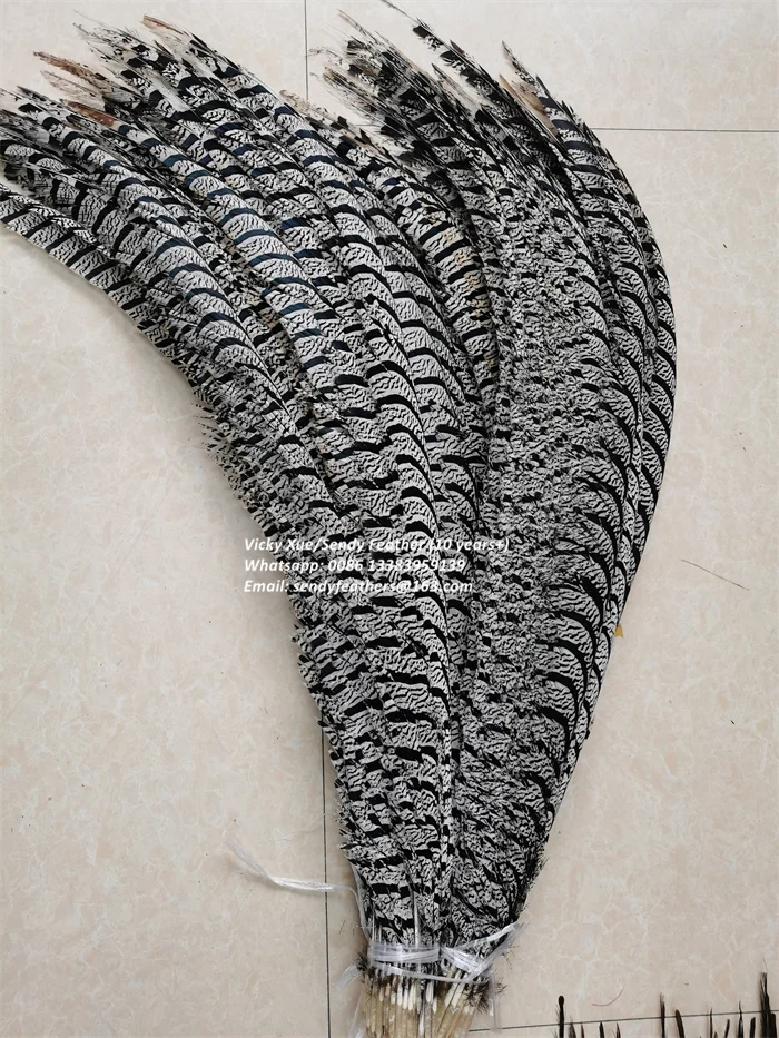 90-100cm Lady Amherst Center Tail Feathers Popular Pheasant Feathers for Carnival Costumes