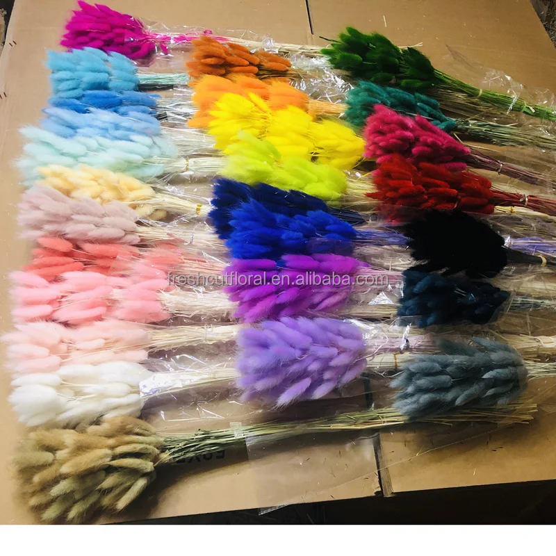 Decorative Flower Natural Dried Bunny Tails Dried Lagurus Ovatus Grass Flowers Lagurus Dried Floral Pampas  Bunny Tails Flower