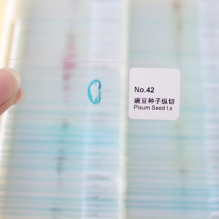 medical education used prepared plant cell Microscope biological teaching slides