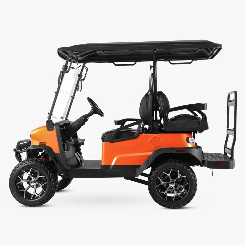 Tao Motor 2024 Chinese New Design 48v Lithium Battery Utility High Quality Electric Golf Cart