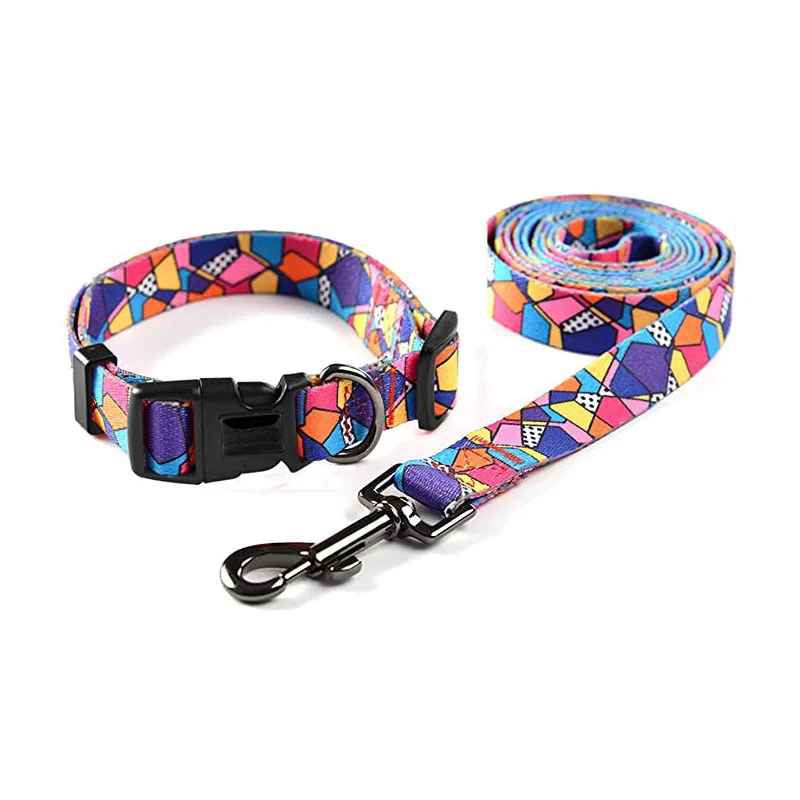 Hot Selling Pet Dog leash Personalized Custom Design sublimation Printed Dog Leash and Collar