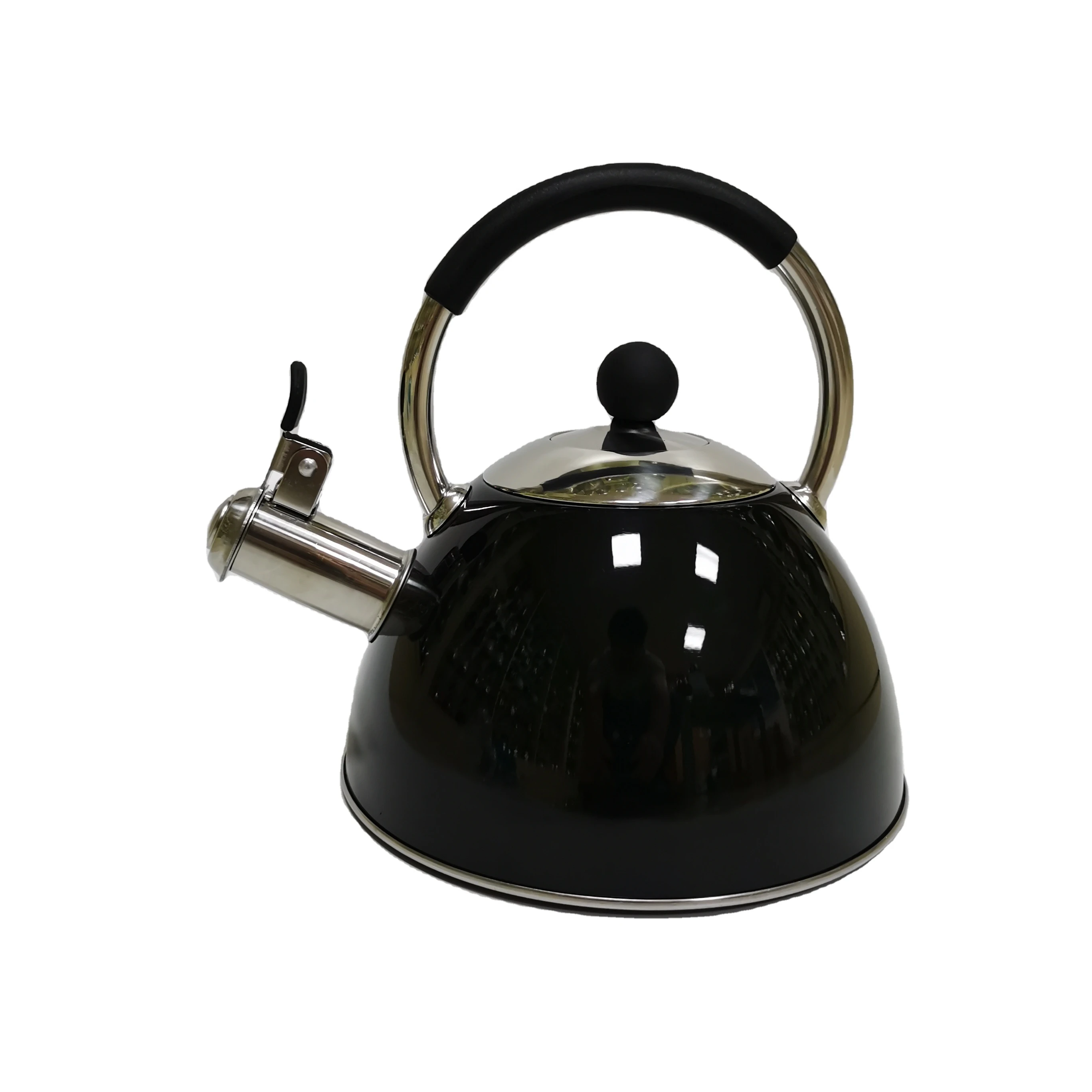 High Quality 304 Stainless Steel Heat Resistant Coating Whistling Water Tea Kettle