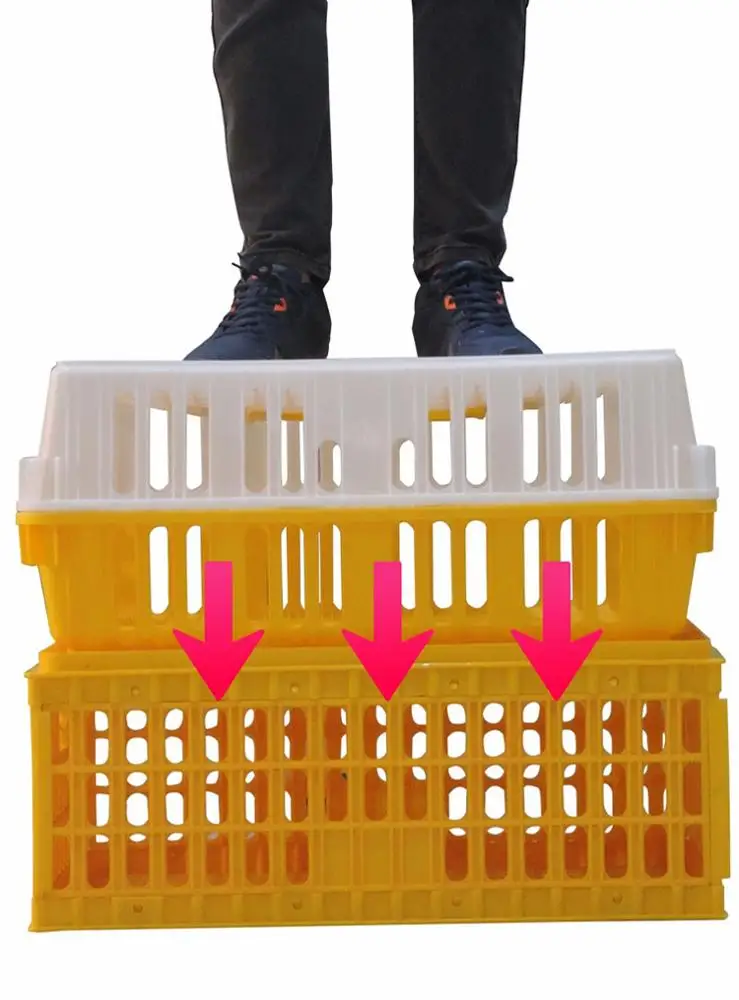 Plastic Poultry Transport Cage Chicken Crates Box Chicken Transport Cage