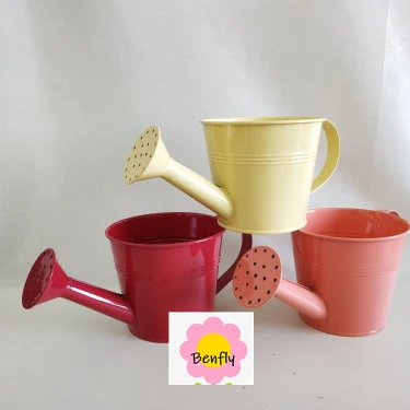 small Play Time or Practical Use galvanized zinc metal  Watering Can for boy girl kid Child for  Home garden yard flower planter