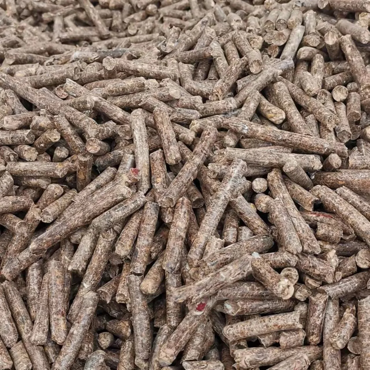 Manufacturer Wholesale Biomass Energy Burning Wood Fuel Pellet Environmental Friendly Boiler Combustion,Home Fireplace Heating